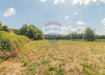 Giardino - Terreno edificabile Località San Pietro
snc, Ischia di Castro - foto 7