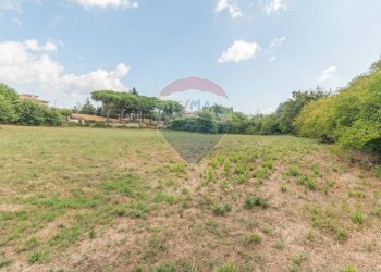 Giardino - Terreno edificabile Località San Pietro
snc, Ischia di Castro - foto 9