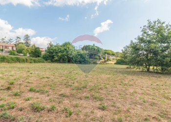 Giardino - Terreno edificabile Località San Pietro
snc, Ischia di Castro - foto 10
