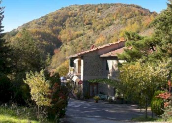 Foto 6 - Rustico Cortona - foto 6