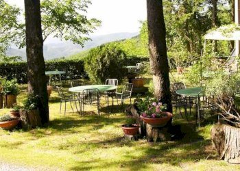 Foto 8 - Rustico Cortona - foto 8