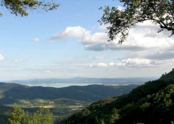 Foto 10 - Rustico Cortona - foto 10