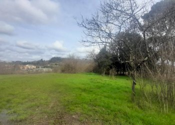 Foto 4 - Rustico Monteriggioni - foto 4