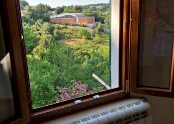 Foto 9 - Appartamento Siena - foto 9