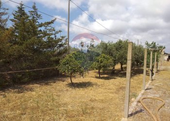 Giardino - Villa Marina di Modica
 
snc, Modica - foto 7