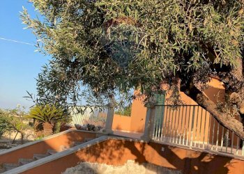 Giardino - Villa Marina di Modica
 
snc, Modica - foto 30