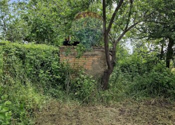 Giardino - Independent house Via San Vincenzo
 
31, Vicoli - photo 45