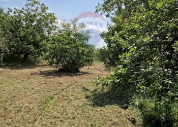 Giardino - Independent house Via San Vincenzo
 
31, Vicoli - photo 46