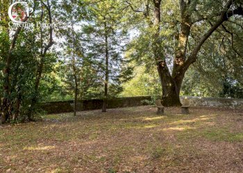 Foto 15 - Villa via di Bisticci
 
1, Rignano sull'Arno - foto 15