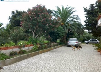 Foto 3 - Rustico Contrada
 
snc, Termoli - foto 3