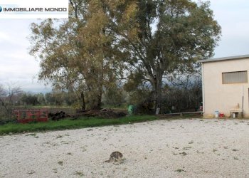 Foto 70 - Rustico Contrada
 
snc, Termoli - foto 70