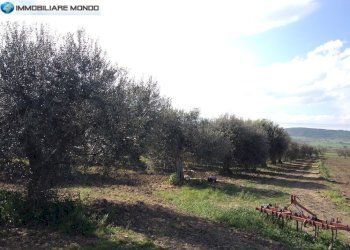 Foto 77 - Rustico Contrada
 
snc, Termoli - foto 77