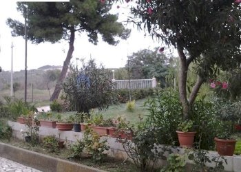 Foto 79 - Rustico Contrada
 
snc, Termoli - foto 79