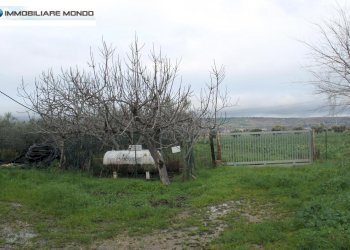 Foto 80 - Rustico Contrada
 
snc, Termoli - foto 80