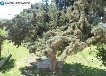 Foto 81 - Rustico Contrada
 
snc, Termoli - foto 81