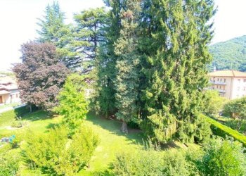 Vista - Trilocale via Provinciale San Bartolomeo, 42, Chiusa di Pesio - foto 16