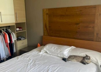 Camera da letto - Trilocale via Provinciale San Bartolomeo, 42, Chiusa di Pesio - foto 31