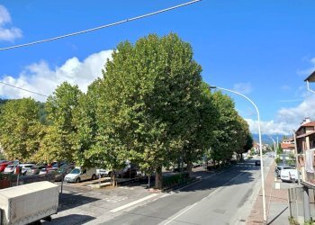 Vista - Trilocale corso Giuseppe Mazzini, 8, Borgo San Dalmazzo - foto 28