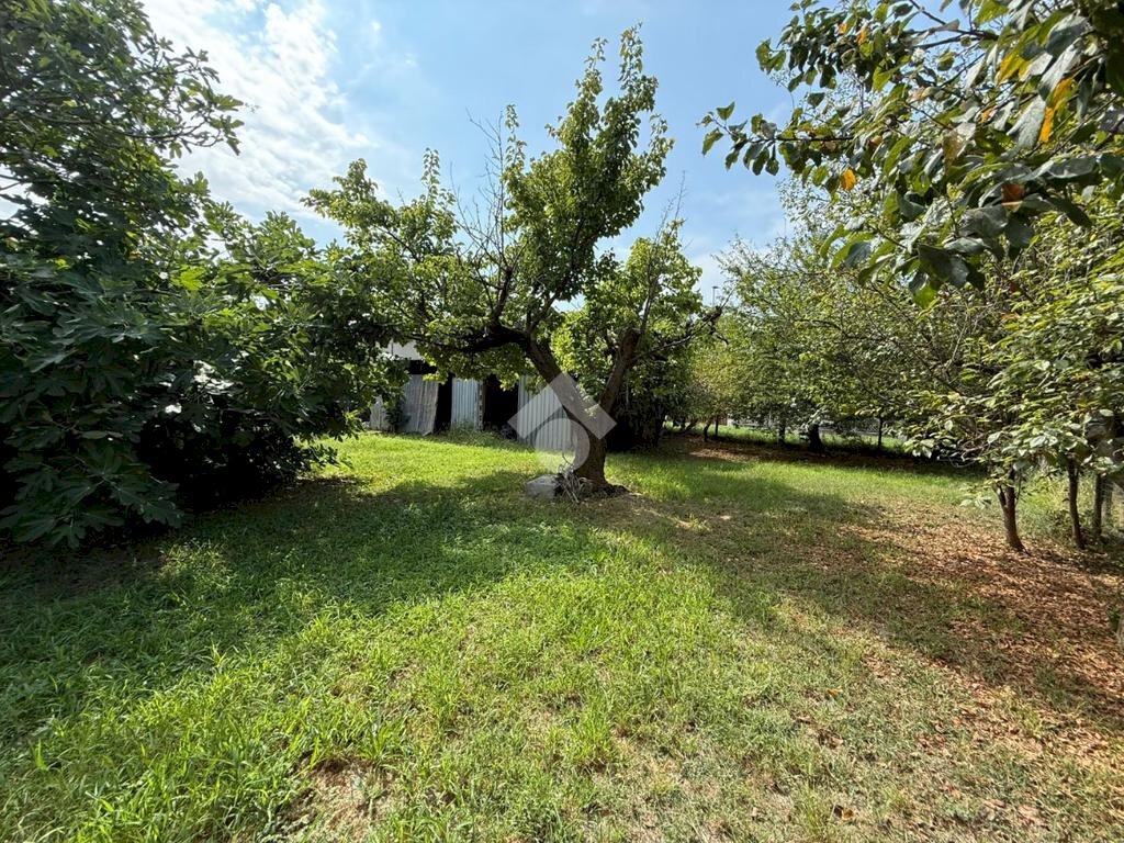 Rustico Via Bacinetta, Ravenna (zona Ammonite) - foto 2