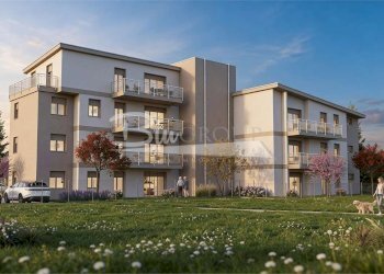 Negozio Carpi - foto 1