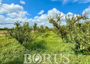 Foto 1 - Terreno agricolo Trentola Ducenta - foto 1