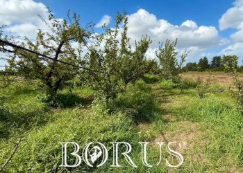 Foto 4 - Terreno agricolo Trentola Ducenta - foto 4