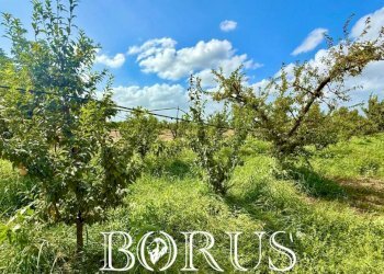 Foto 6 - Terreno agricolo Trentola Ducenta - foto 6