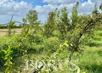 Foto 9 - Terreno agricolo Trentola Ducenta - foto 9