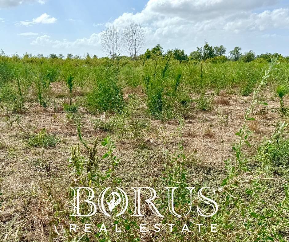 Foto 1 - Terreno agricolo Trentola Ducenta - foto 1