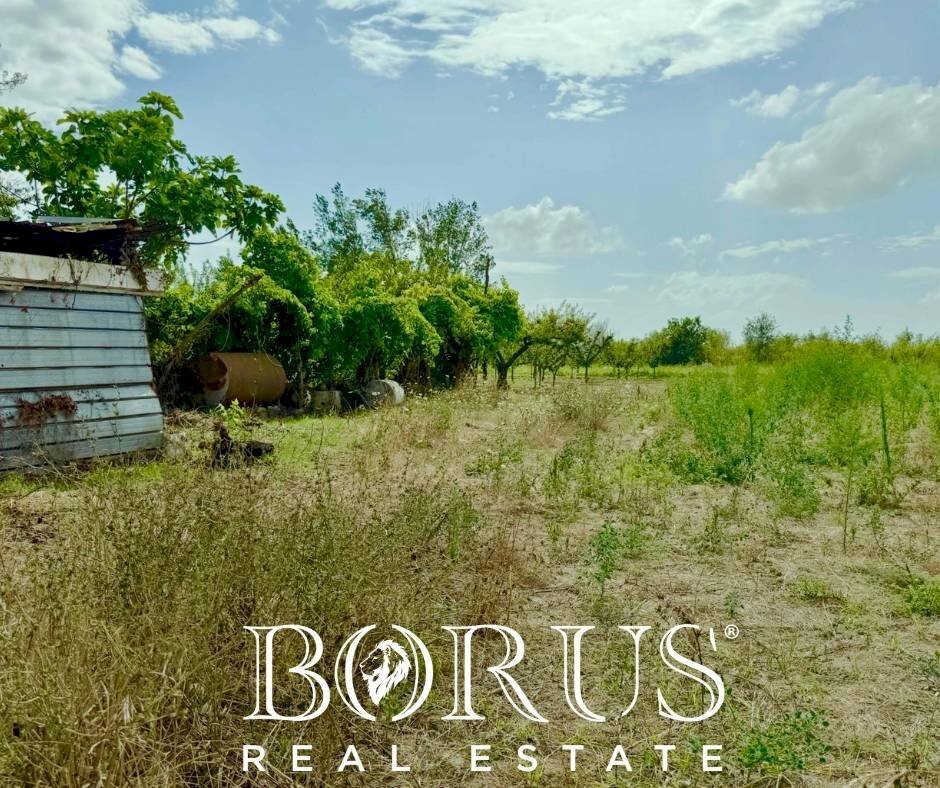 Foto 2 - Terreno agricolo Trentola Ducenta - foto 2