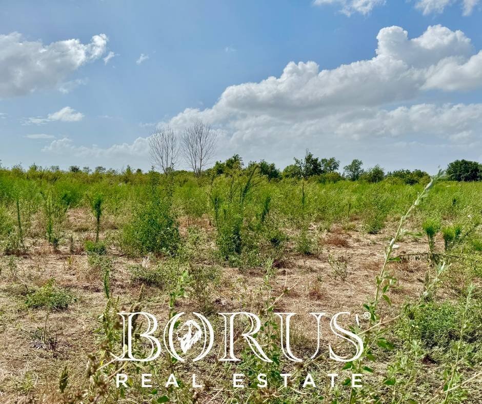 Foto 3 - Terreno agricolo Trentola Ducenta - foto 3