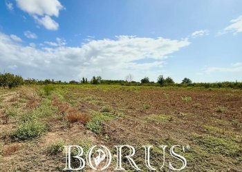 Foto 4 - Terreno agricolo Trentola Ducenta - foto 4