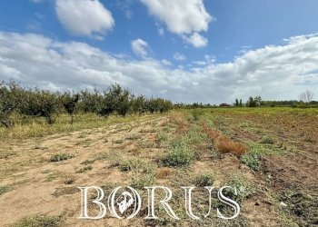 Foto 8 - Terreno agricolo Trentola Ducenta - foto 8