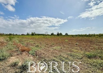 Foto 9 - Terreno agricolo Trentola Ducenta - foto 9