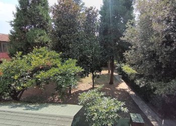 Giardino - Trilocale San Giovanni in Persiceto - foto 24