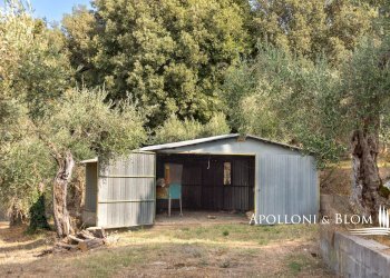 Villa Unifamiliare Cortona - foto 33