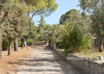 Villa Unifamiliare Cortona - foto 38