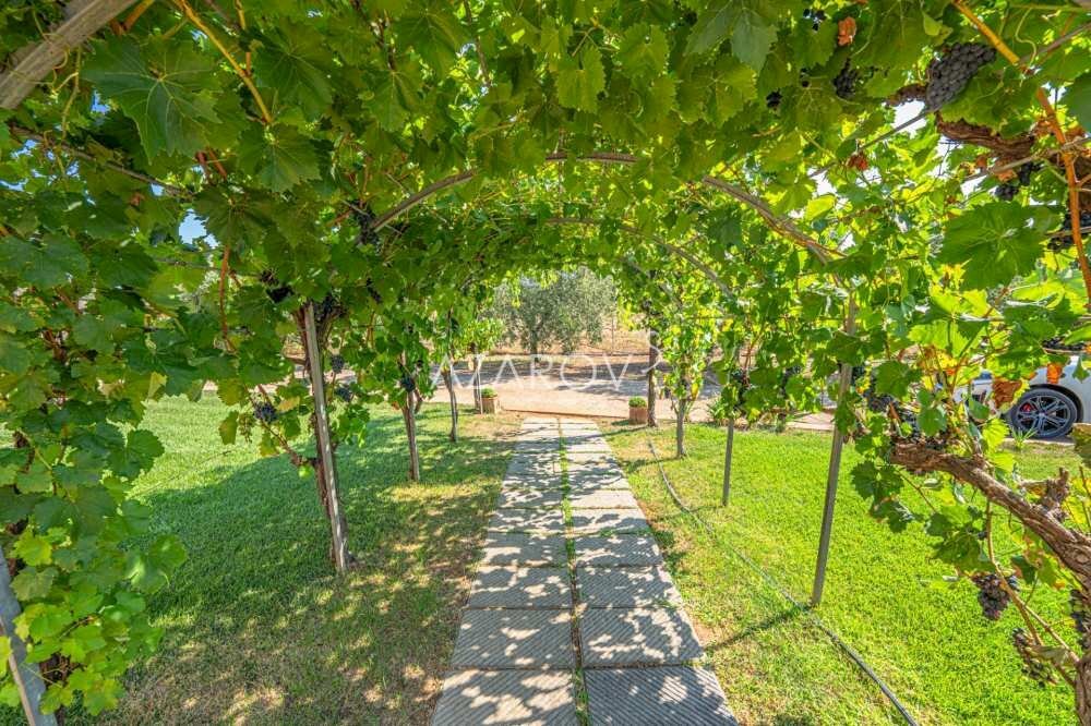 Villa Montalto di Castro - foto 3