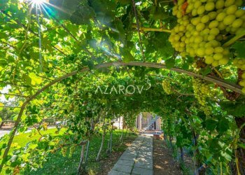 Villa Montalto di Castro - foto 8