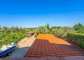 Villa Montalto di Castro - foto 19