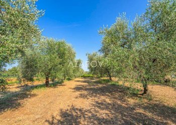 Villa Montalto di Castro - foto 40