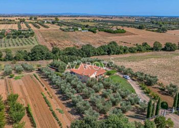 Villa Montalto di Castro - foto 41