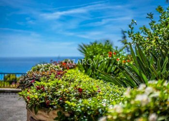 Three-room apartment Ospedaletti - photo 21