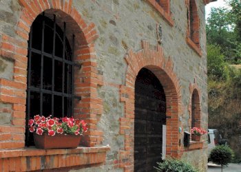 Foto 1 - Terreno agricolo via Dicomano Campagna
 
10, Dicomano - foto 1