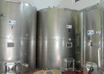 Foto 3 - Terreno agricolo via Dicomano Campagna
 
10, Dicomano - foto 3