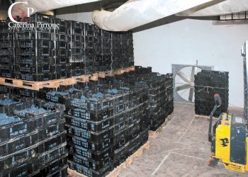 Foto 4 - Terreno agricolo via Dicomano Campagna
 
10, Dicomano - foto 4