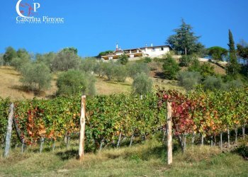 Foto 7 - Terreno agricolo via Dicomano Campagna
 
10, Dicomano - foto 7