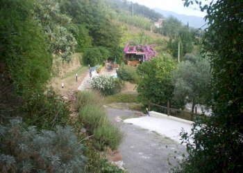 Giardino - Rustico via Cerro Grosso, Pietrasanta - foto 7