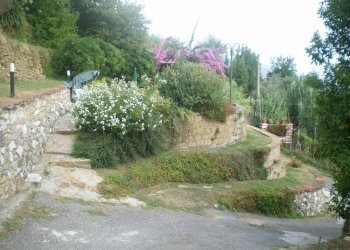 Terreno - Rustico via Cerro Grosso, Pietrasanta - foto 9