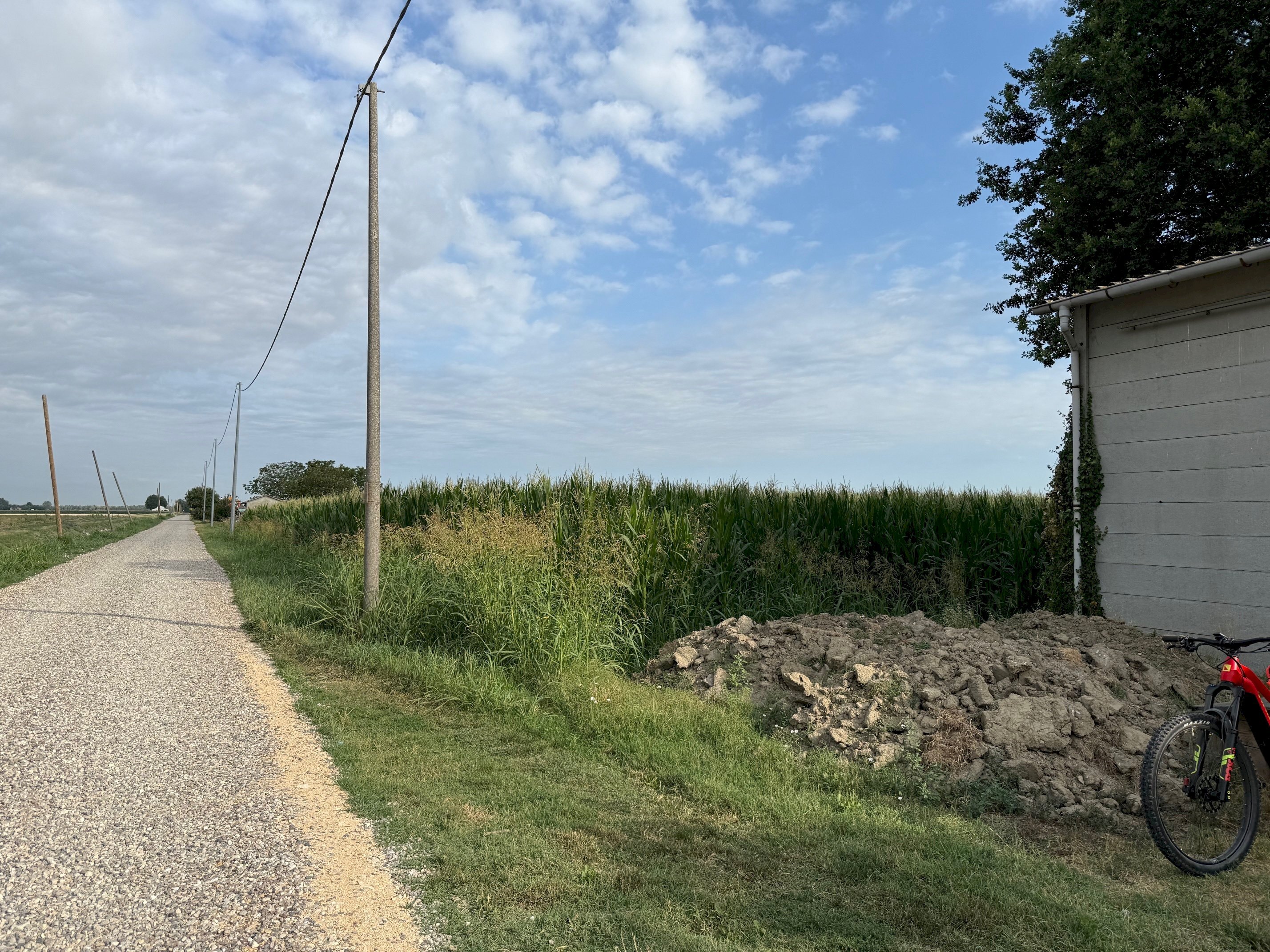 Agricultural land Via Rovere, hamlet Marmorta, Molinella - photo 3